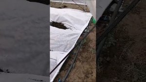 Укрываем наши грядки