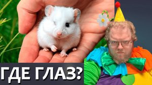 [T2x2 смотрит У ДЕТЕНЫША СТЕПЫ ИСЧЕЗ ГЛАЗИК] ГДЕ ГЛАЗ?