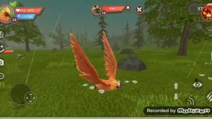 Играю в WildCraft по сети