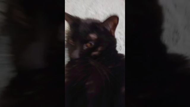 1000003783.mp4