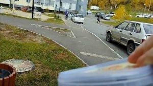 Превращение гусеницы в бабочку Бражник