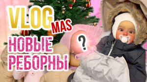 ВЛОГМАС🎄 Прогулка с Евой и Ханной! Распаковка новых молдов! Ставим ёлку! Приехали глаза для кукол!