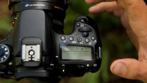 будни фотографа / съёмка птиц