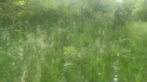 Днем на работе , вечером с тёщей чудил