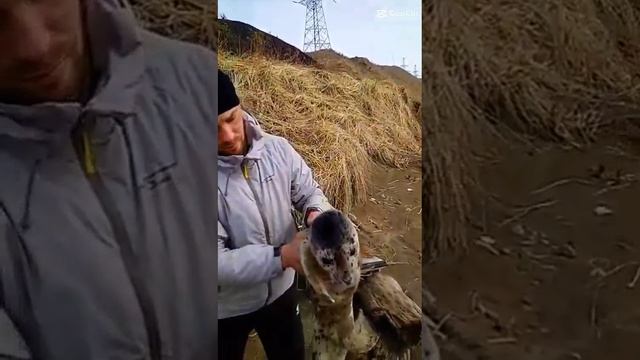 Герои,правда? Оставь реакцию 👇🏻 #терехова #альбина #сахалин #спасение #муж#геройнашеговремени