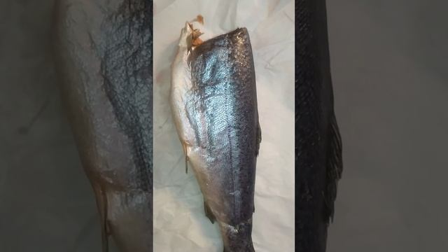 Жирная рыба полезна как Вэлнэс!