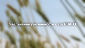 Увеличение урожайности на пшенице озимой с БЛАГО в Крыму