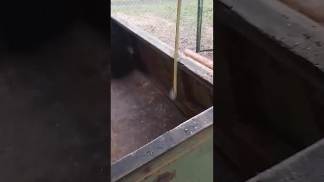 Хейтеры, идите в ж...#минитрактор #homemade #traktor #своимируками смотреть онлайн