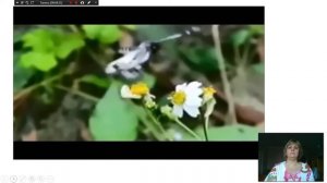 Музыкальные пейзажи