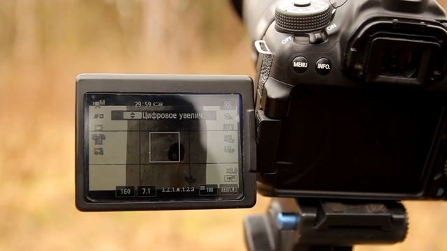 фотоохота / canon 70D смотреть онлайн