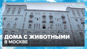 Дома с животными в Москве|Это Москва — Москва 24|Контент