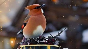 С Добрым утром картинки с пожеланиями!