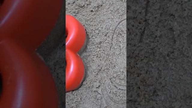 Beach toys, play in the sandbox, listen to a children's song