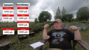 Сколько стоит гектар голубики в 2024