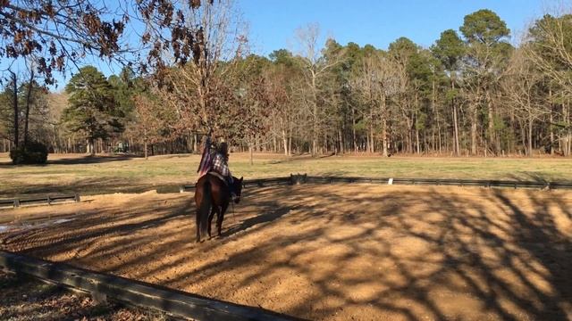 Demi-AQHA Bay Mare Trained Cutter Safe for the Whole Family смотреть онлайн