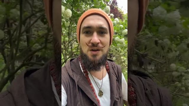 29 апреля ПРОГНОЗ 21 лунные сутки Кир Сабреков 2024 (С)АтамПракаш