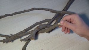 Подготовка коряги в аквариум. Как это делаю я, правило шести часов.