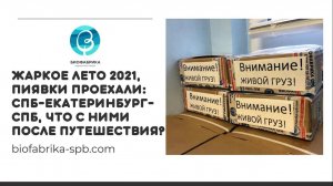 Жаркое лето 2021, пиявки проехали: СПб-Екатеринбург-СПБ, что с ними после путешествия?