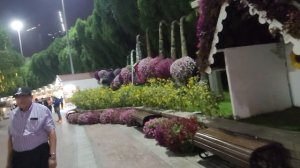 Отдых в Дубае в декабре. Можно ли купаться. Dubai Miracle Garden, цены, что посмотреть