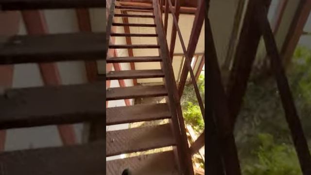 Монтаж промышленных бетонных полов (топпинг полы) #shorts #construction #томск #стяжка #бестхаус смотреть онлайн