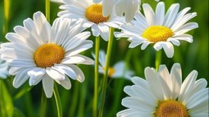 Семейные истории -Моё детство,воспоминания о папе....