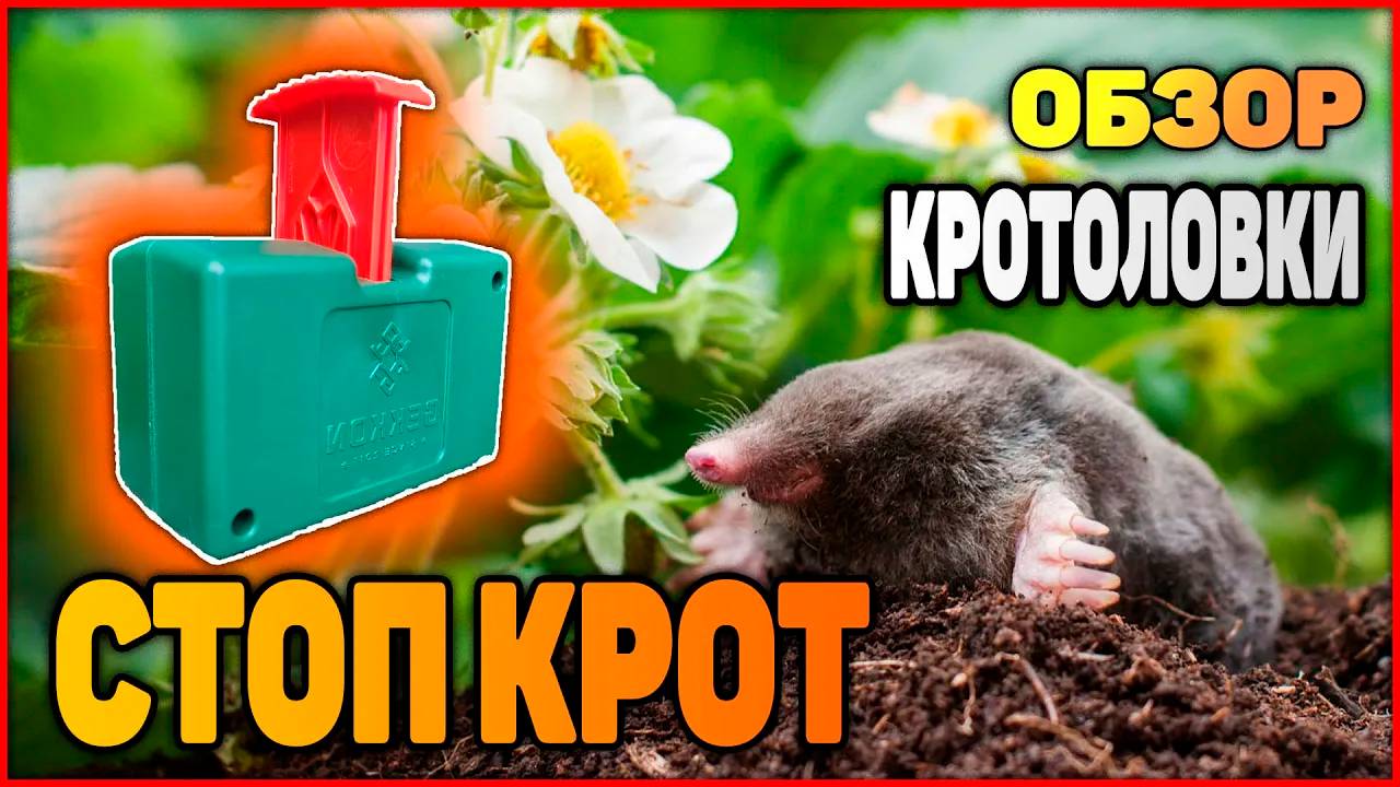 #208 Как поймать крота | Кротоловка СТОП КРОТ | Обзор | Розыгрыш