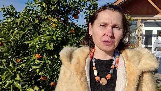 ОРГАНИЗАЦИЯ_Евгения