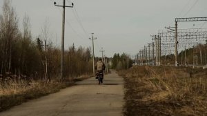 фотоохота / фотобыт / лес