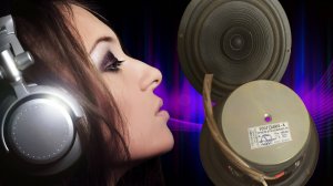 Динамики 100ГДШ65-4