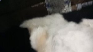 дела житейские,жизнь простых людей на посёлке