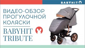 Видеообзор прогулочной коляски Babyhit Tribute