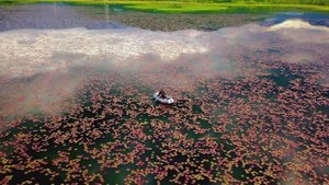 Репортажный ролик о Кубориаде