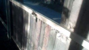 Крассивый Бюджетный забор из поддонов ,палет своими руками.