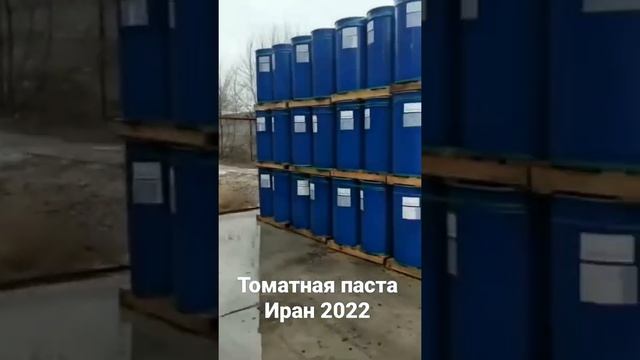 Принимаем заказы на поставку томатной пасты Иран, урожай 2022.