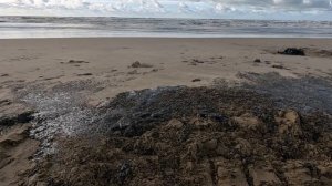 18.12.ЧС в Анапе. Уборка пляжей