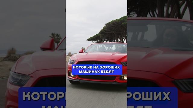 Почему в школе нет финансовой грамотности? #финансы #деньги #финансоваяграмотность смотреть онлайн