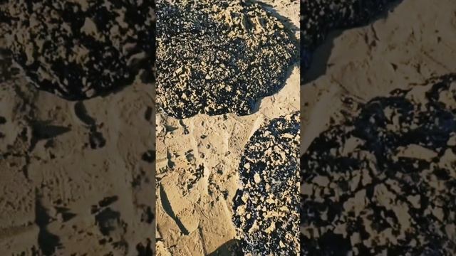 Люди Анапы-вы лучшие!