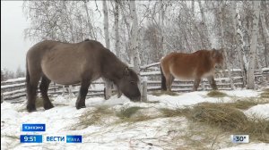 09:30 ВЕСТИ САХА 18/12/24 НА ЯКУТСКОМ ЯЗЫКЕ