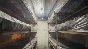 АЗЕРБАЙДЖАН. ГРИБНОЕ ПРОИЗВОДСТВО. БОЛЬШОЙ ВЫПУСК.