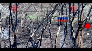 ❗🇷🇺⚔🇺🇦⚡Уникальные и тяжелые кадры штурма. Запорожский фронт, Ореховское направление.⚡