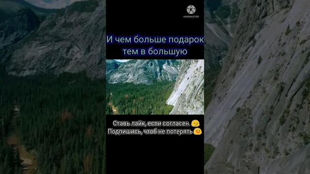 #подарок #проблемы #подароксудьбы #цитатысосмыслом #цитаты #цитата #умныемысли