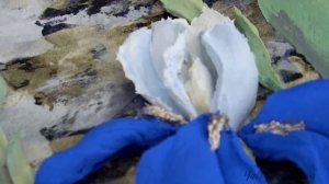 Ирисы и море