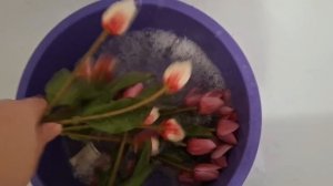 Семья из Мариуполя.Истеричка.#мариупольсегодня #мариупольвидео #мариупольсейчас #мариуполь