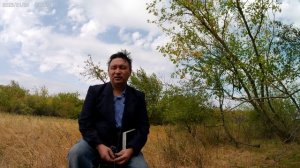 Как защита от ветра