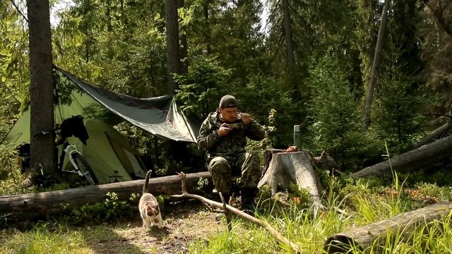 Муся едет в поход ) смотреть онлайн