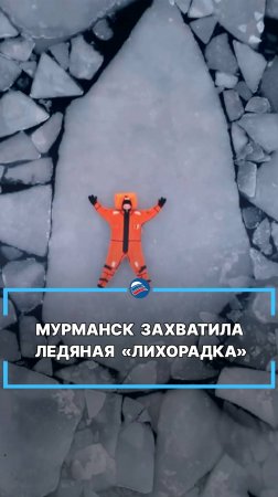 Мурманск захватила ледяная «лихорадка» #shorts