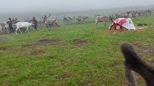 Тыва. Тоджинский кожуун.