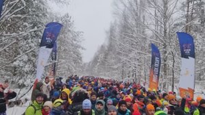 Трейл 2024. Переславль-Залесский. Mad Fox Ultra Obsession