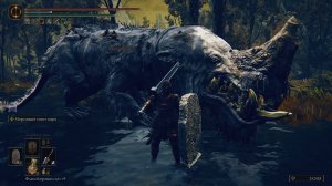 ELDEN RING Shadow of the Erdtree. Эпизод 10.