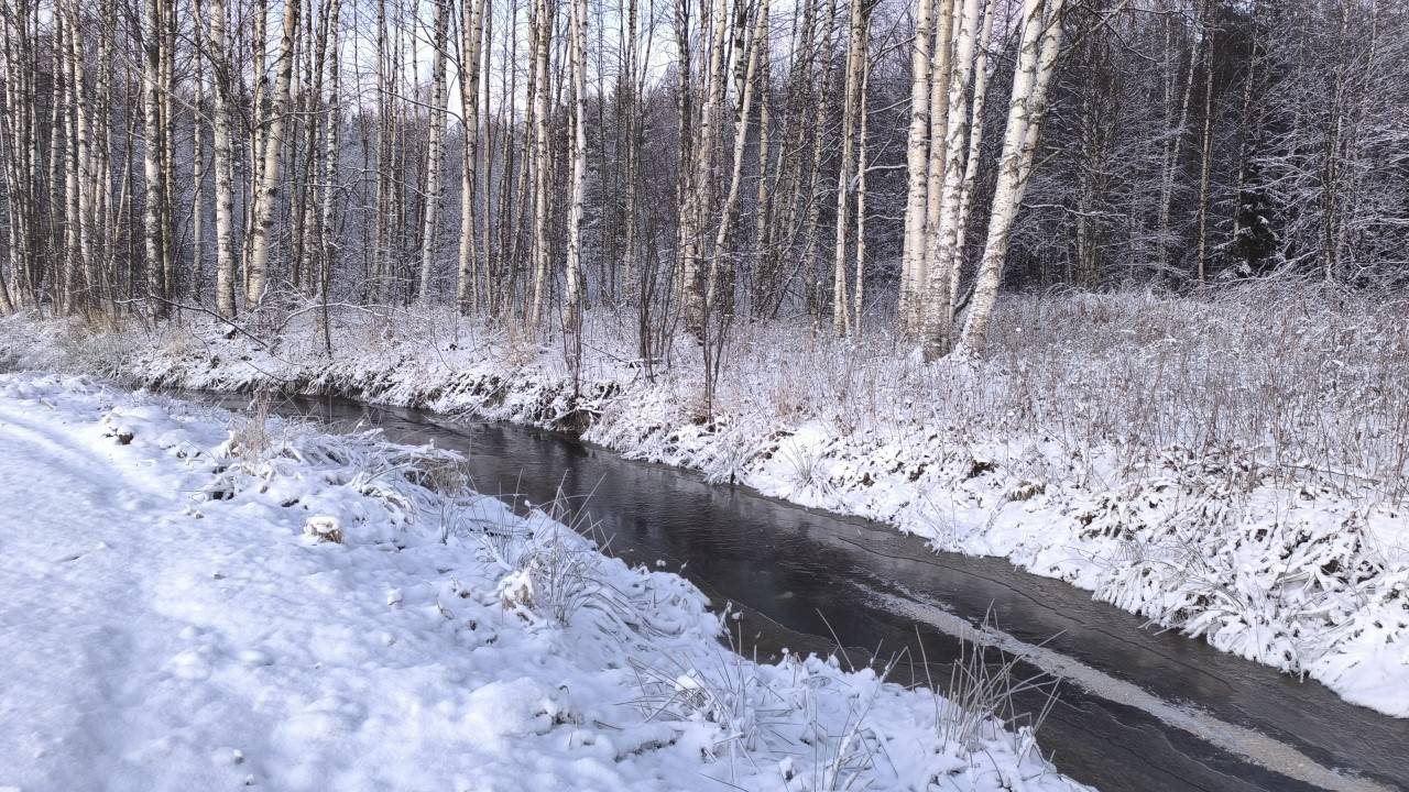 Коттеджный поселок "Туоми"